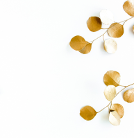 Lưu Giữ Những Khoảnh Khắc Đẹp Nhất Trong Cuộc Đời